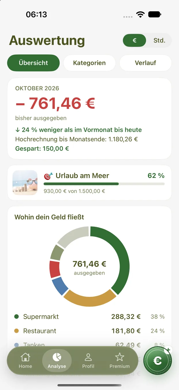 Analyse: Wohin dein Geld fließt
