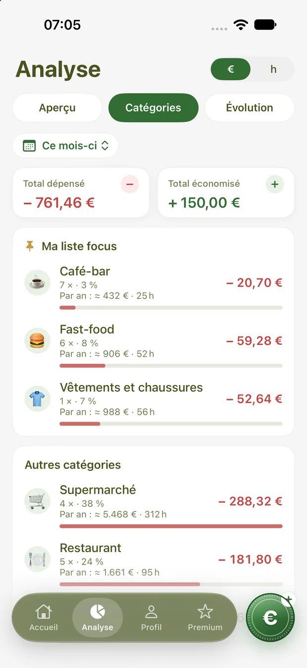 Dépenses par catégorie avec projection annuelle
