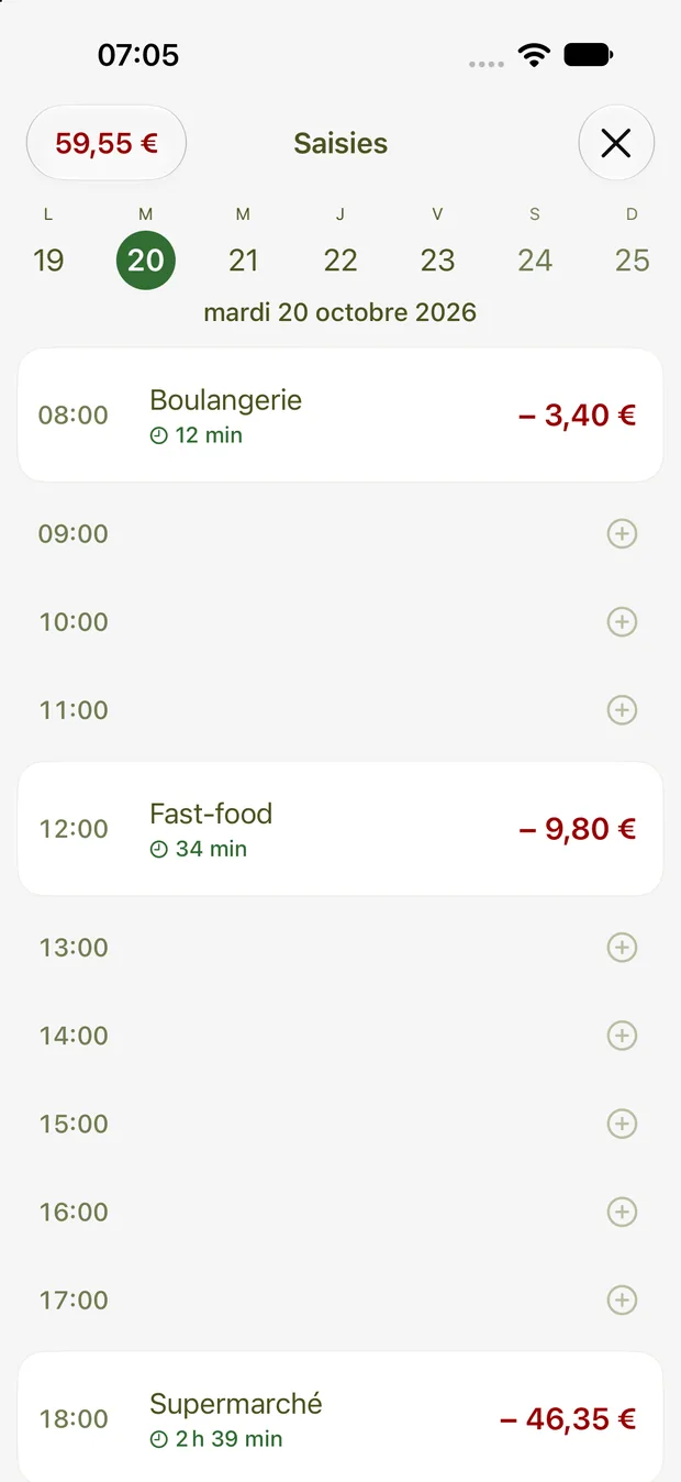 Saisies d'une journée, heure par heure